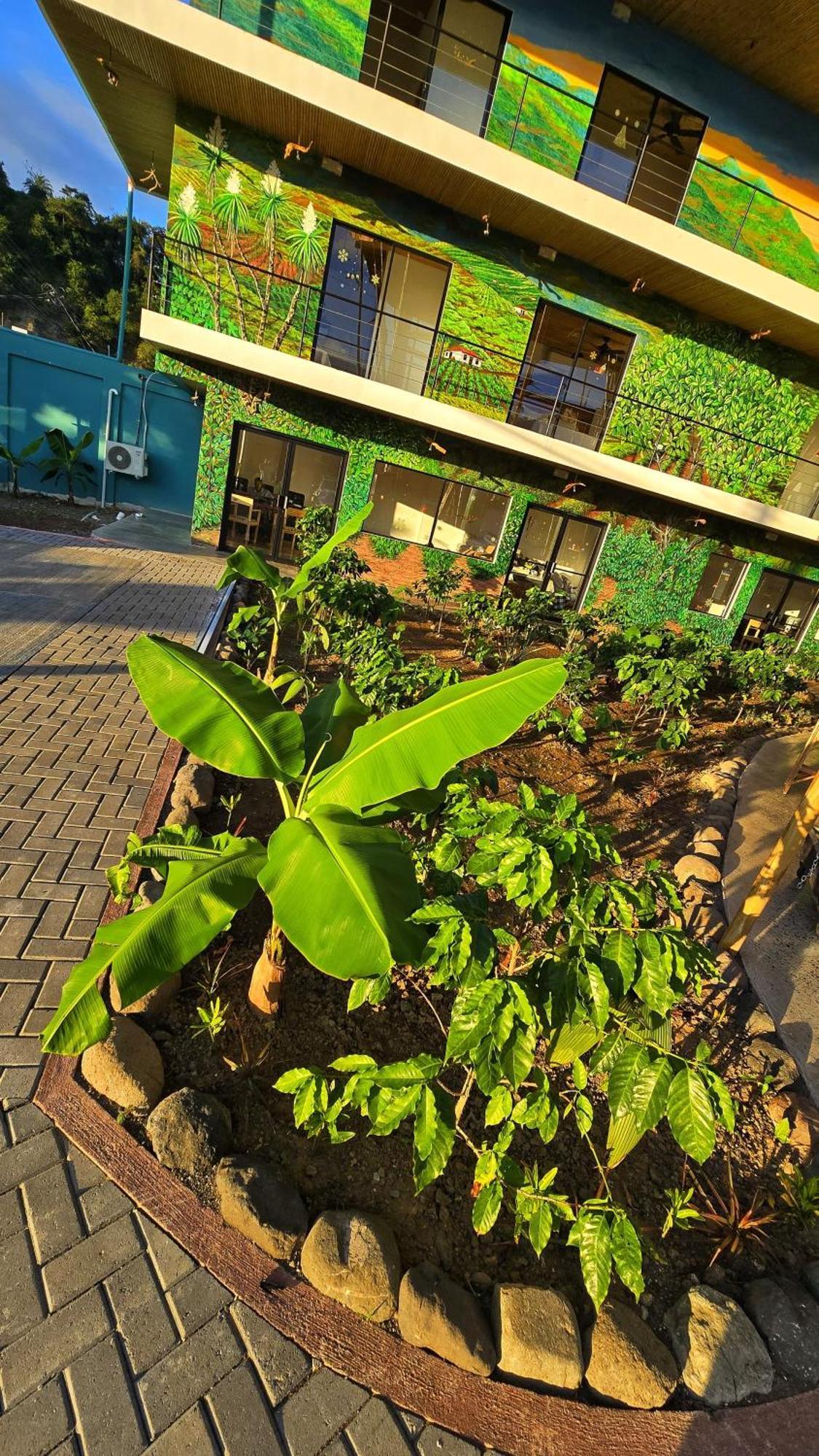 Bonding Coffee Roaster Cafe & Hotel Quepos Extérieur photo