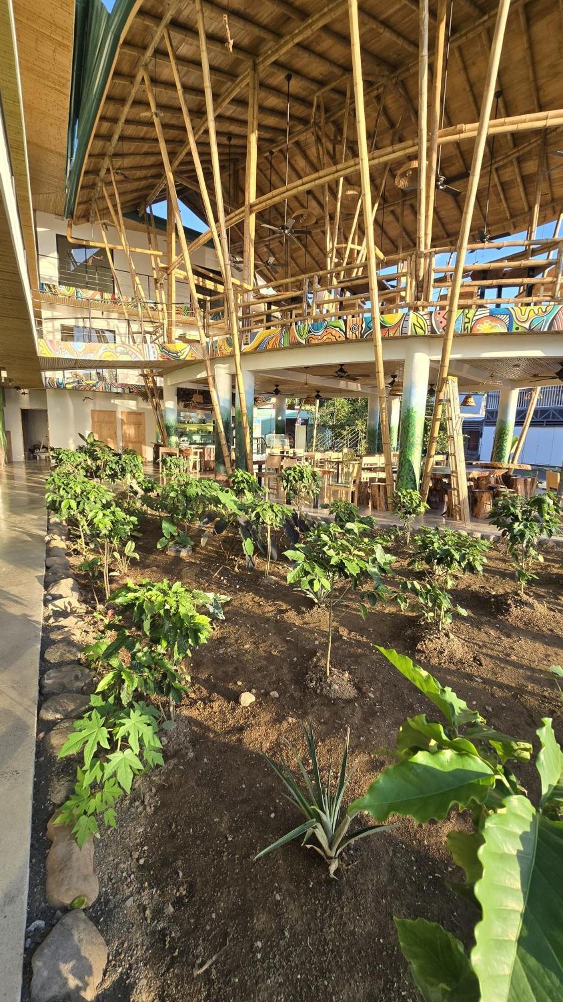 Bonding Coffee Roaster Cafe & Hotel Quepos Extérieur photo